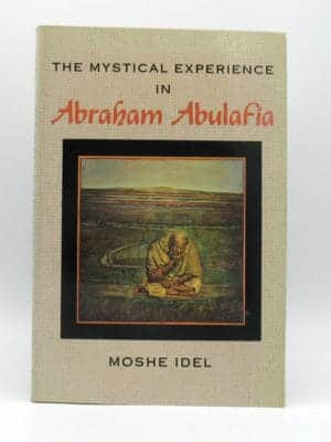 Cover of The Mystical Experience in Abraham abulafia